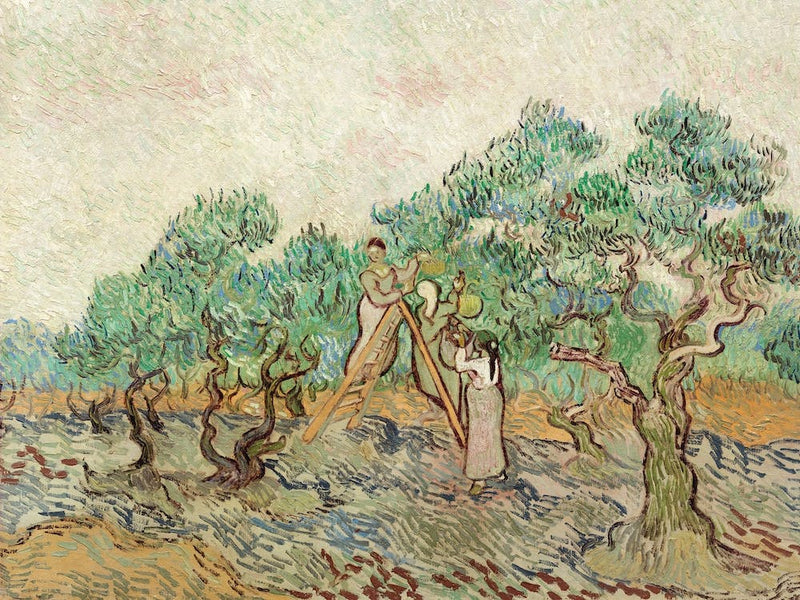 The Olive Orchard, Vincent Van Gogh