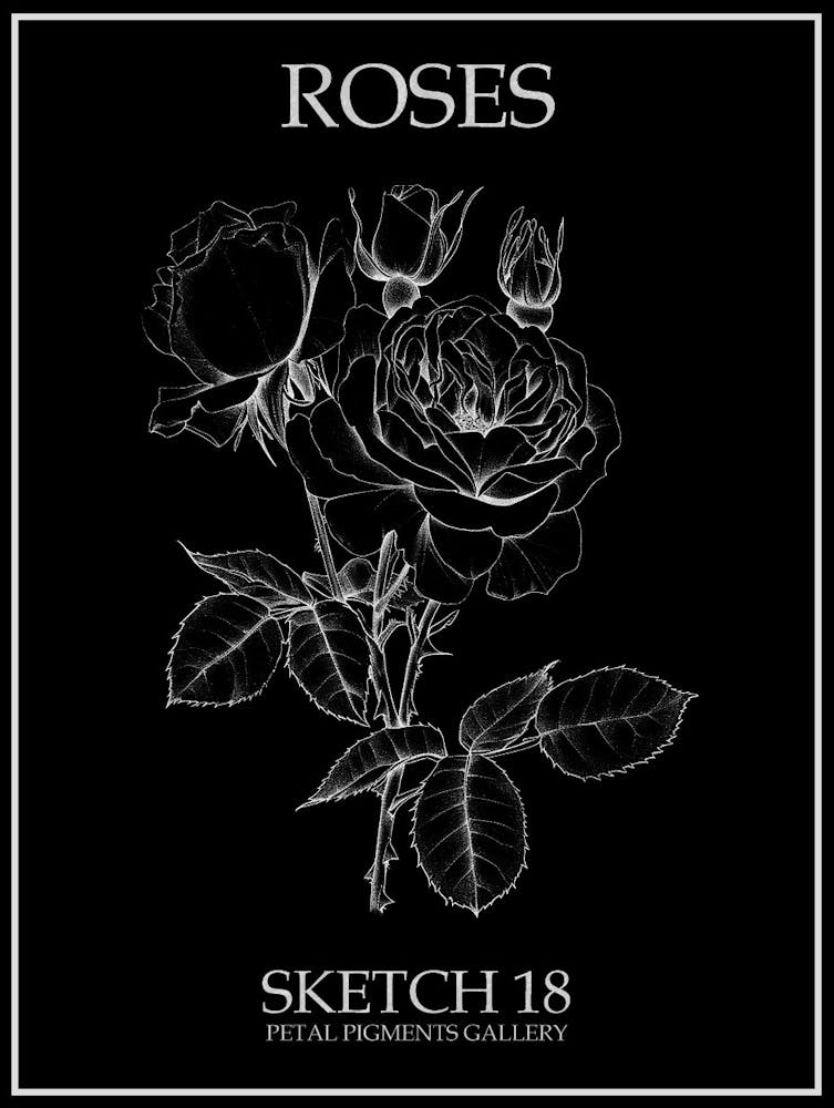 Roses Sketch 18 Poster Inverted
