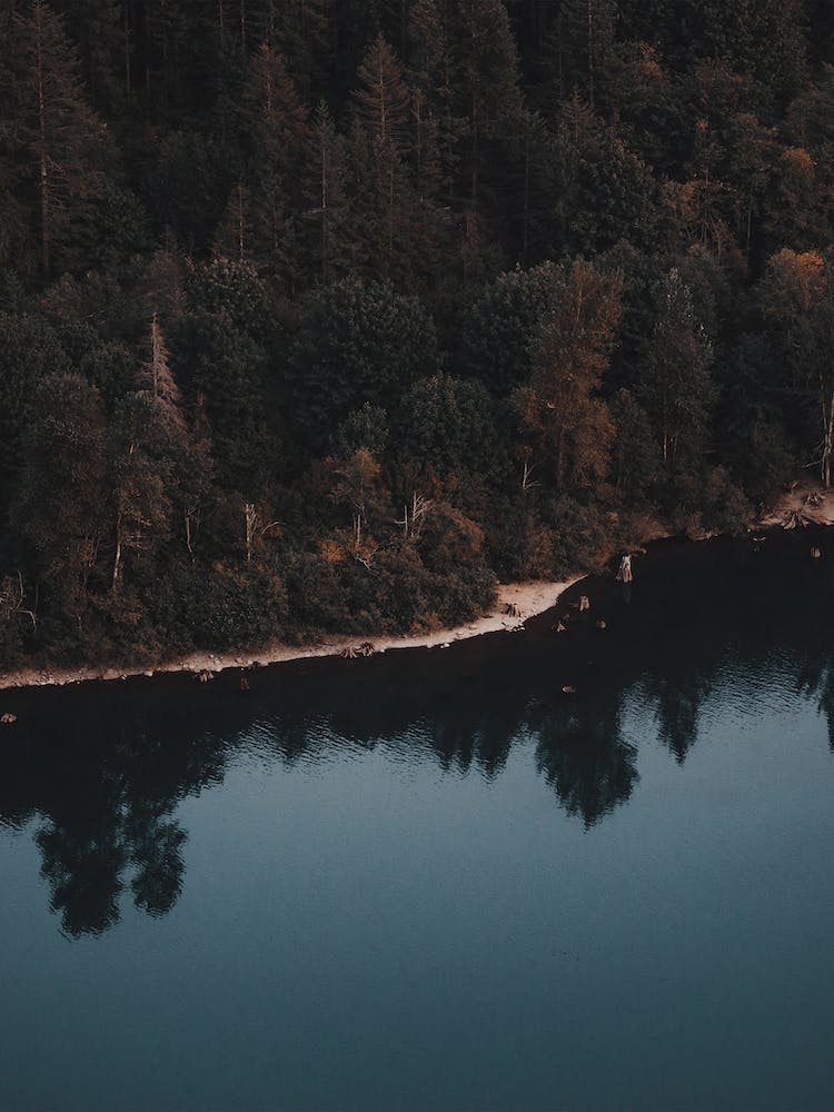 Montana Lake Shore