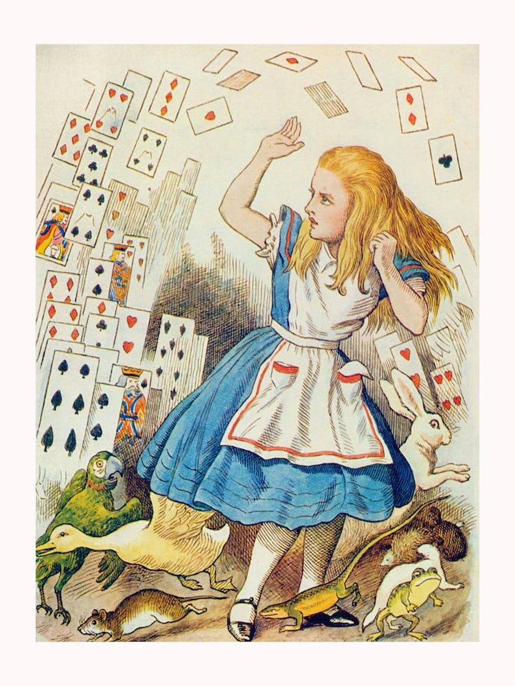 The Shower Of Cards