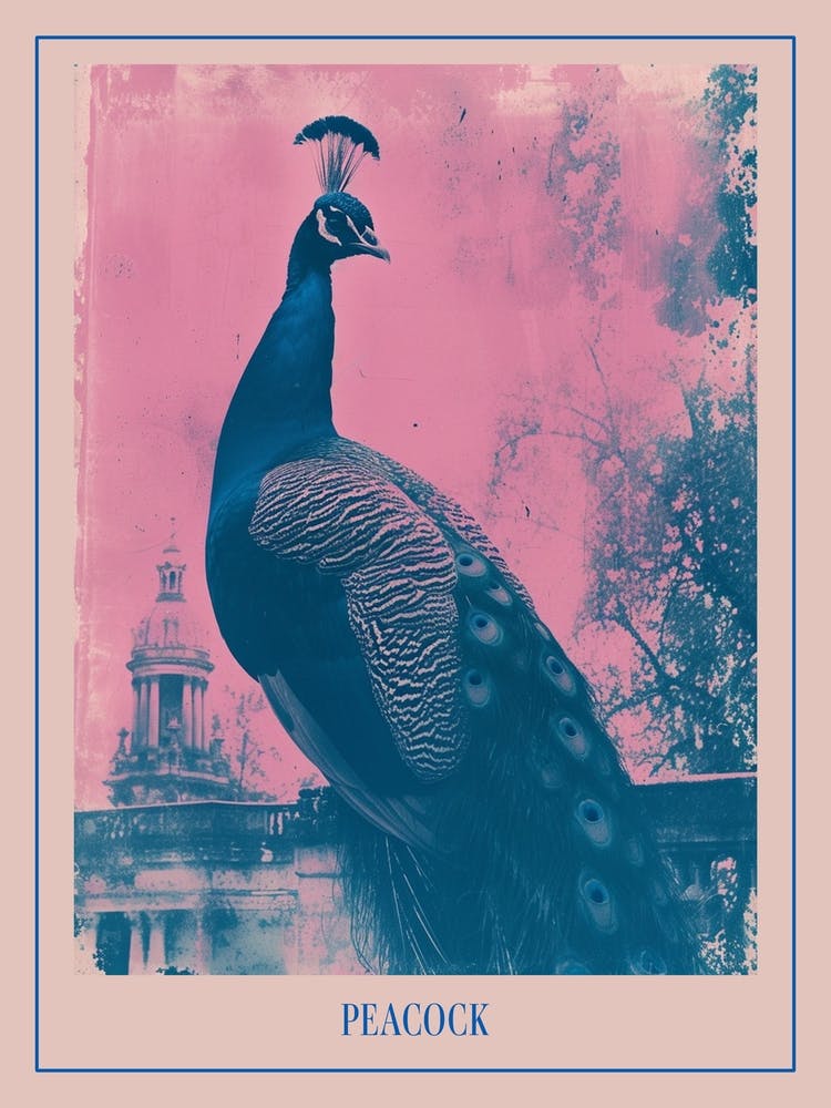 Peacock In A Palace Cyanotype Inspired 1 Poster
