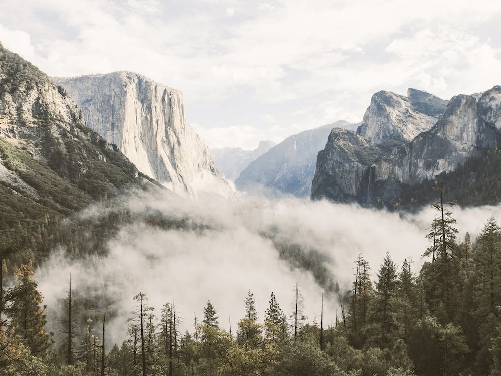 Foggy Yosemite Valley