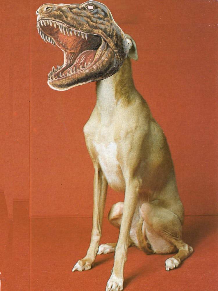 Modular Pets