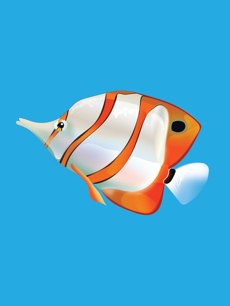 Tropical Fish