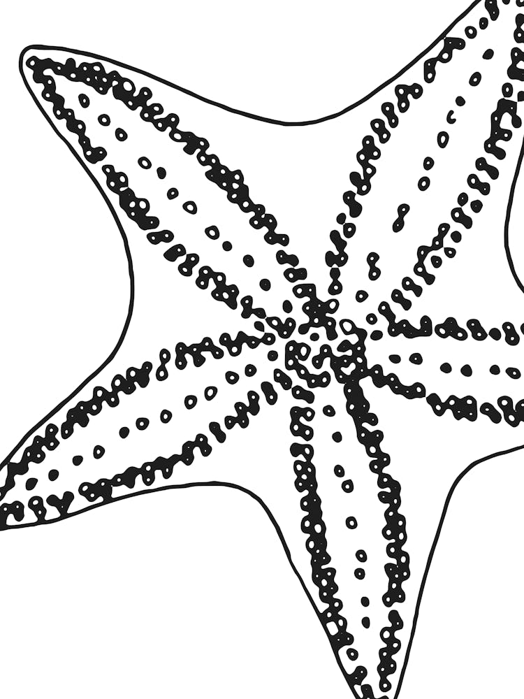 Starfish 1