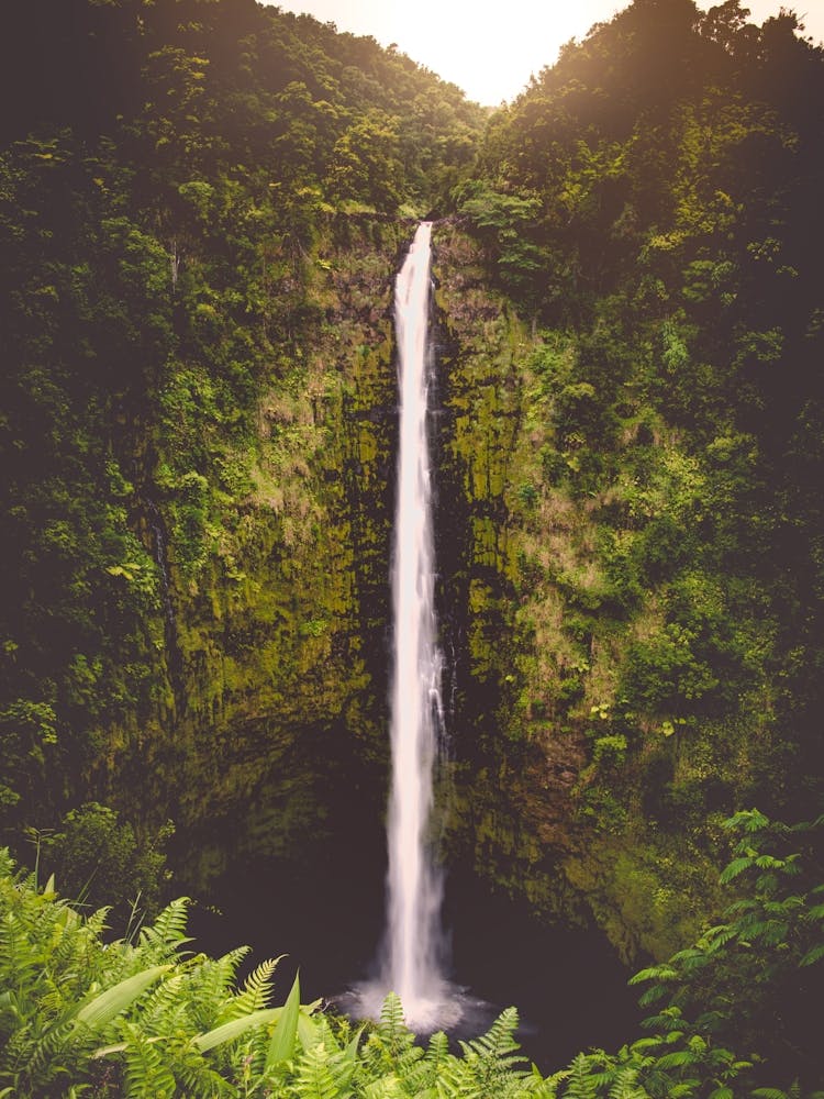 Waterfall In Hawaii - Rainforest Landscape