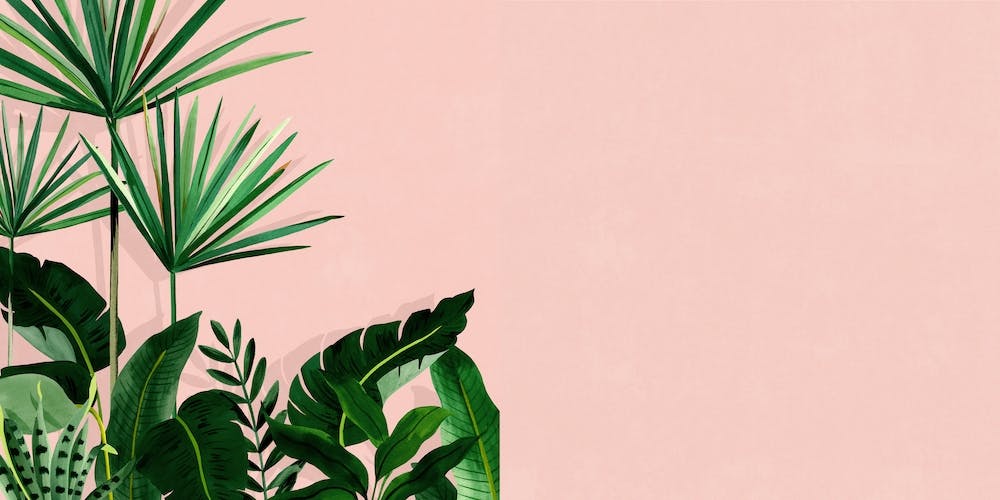 Take Me To The Tropics