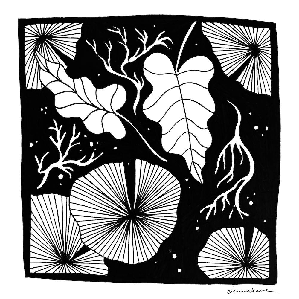 Plants Of Paradise 3 Square