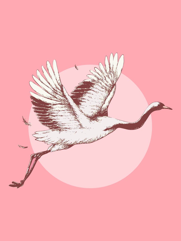 Kranich im Flug