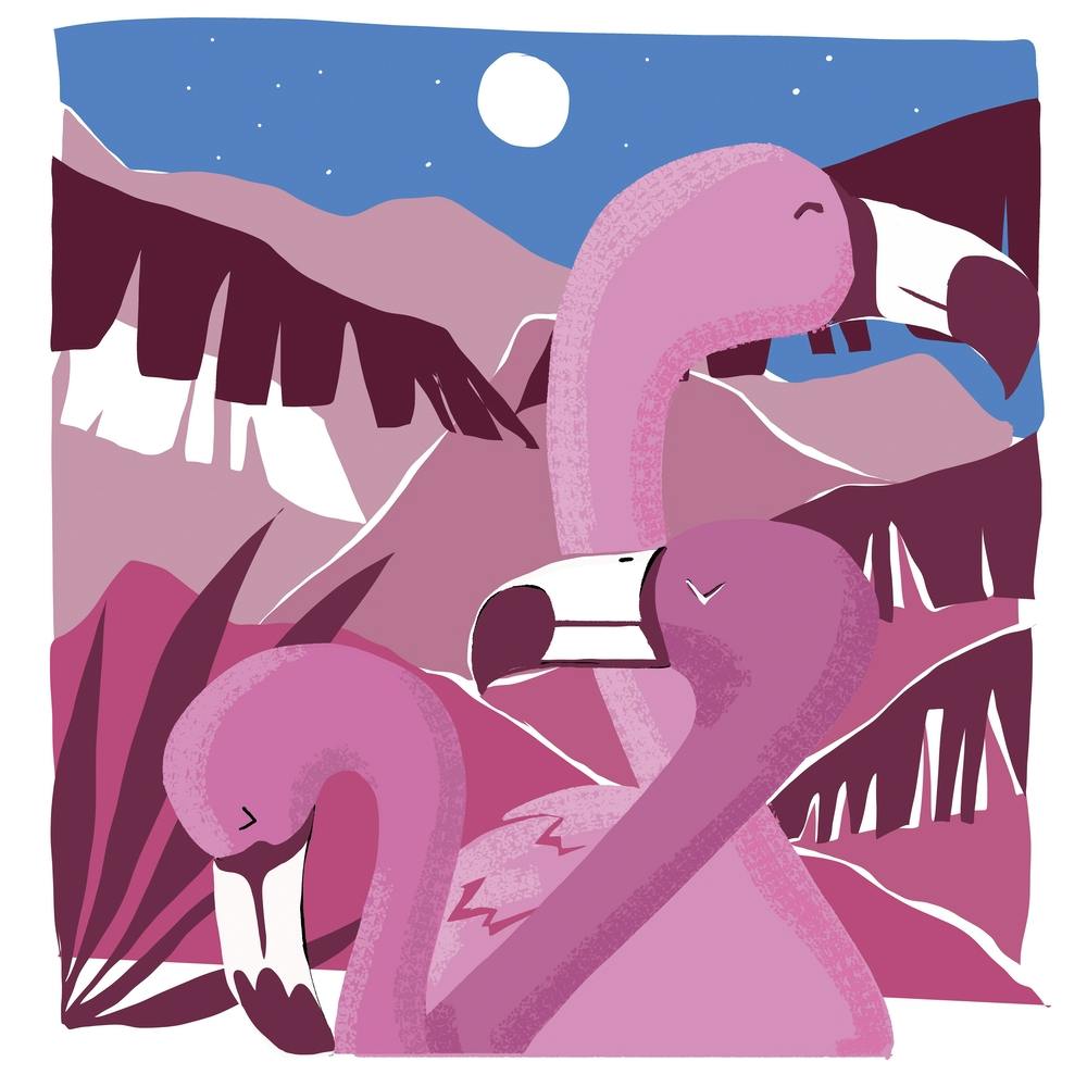 Flamingo Night Square