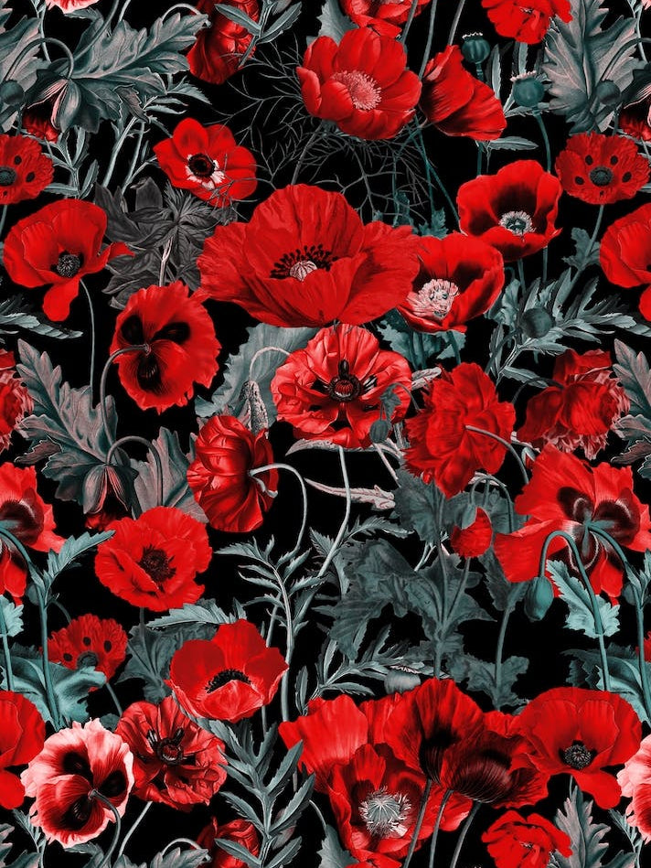 Poppy Garden
