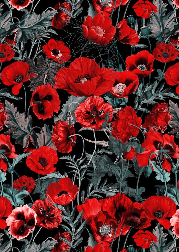 Poppy Garden
