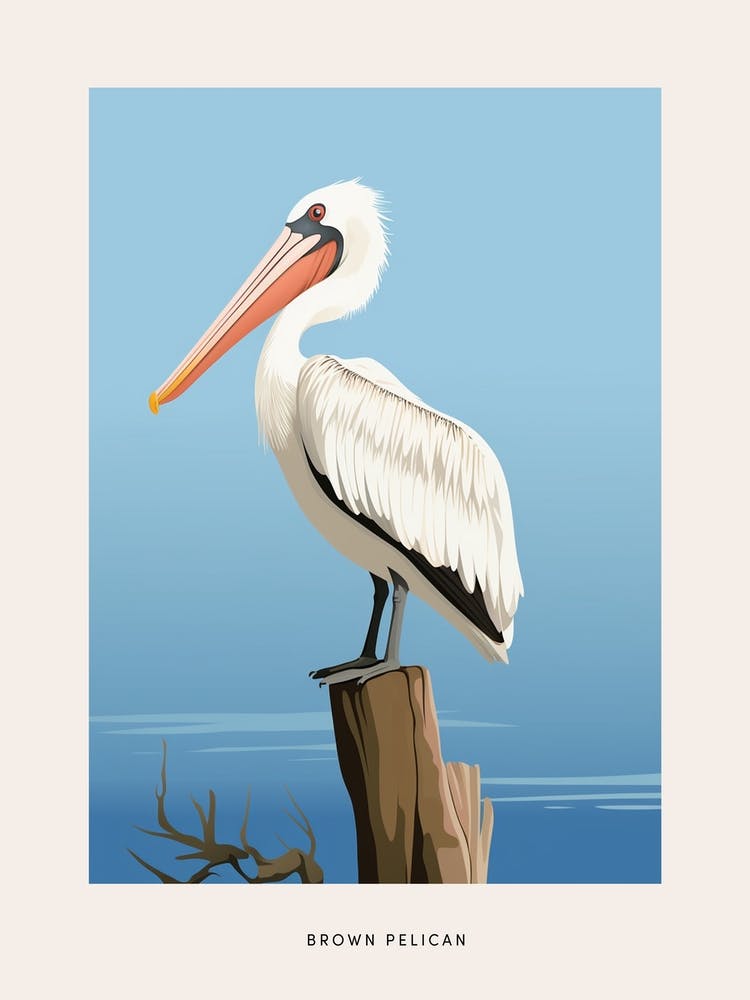 Minimalist Brown Pelican 4 Bird Poster