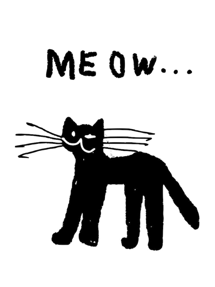 The Cat