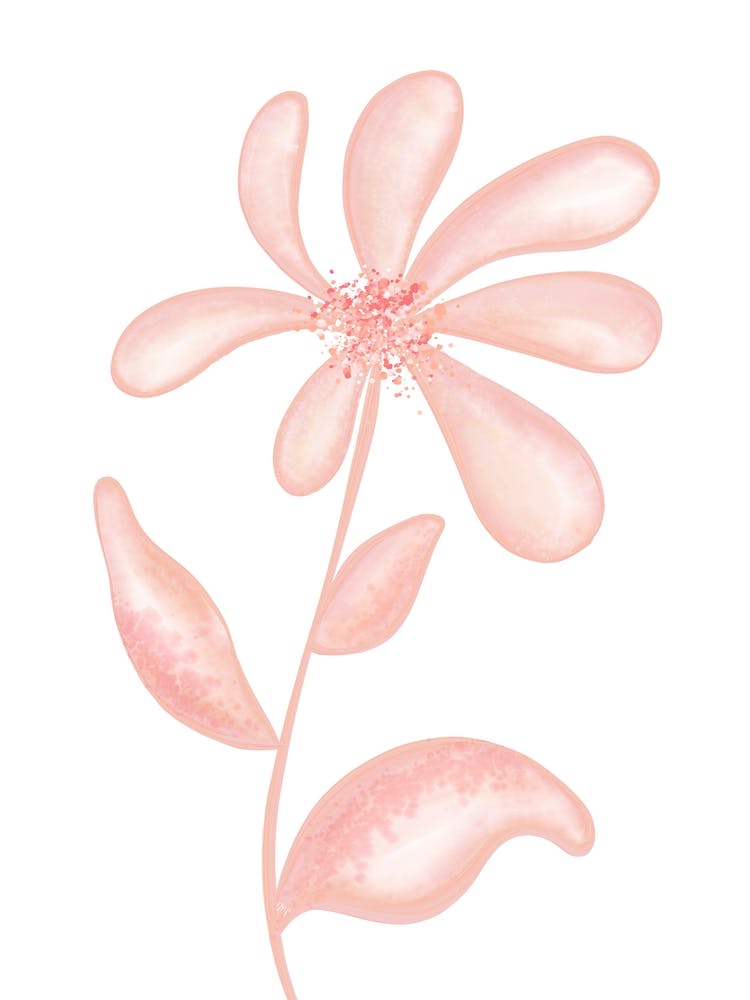 Romantic Peach Flower