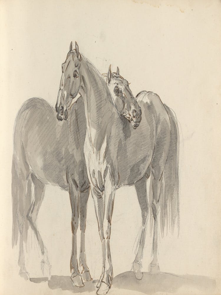 Two Horses