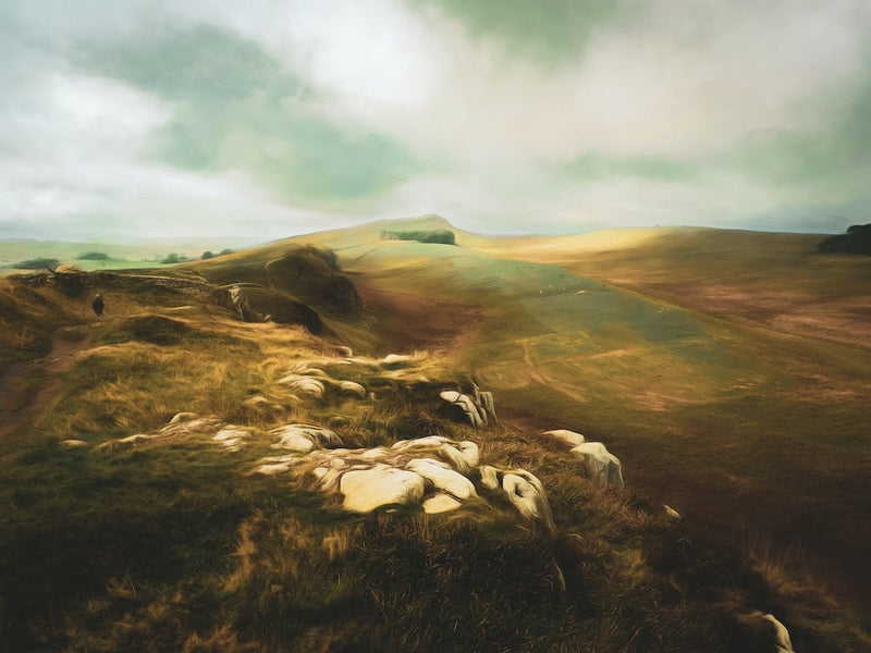Hadrians Wall Autumn Landscape