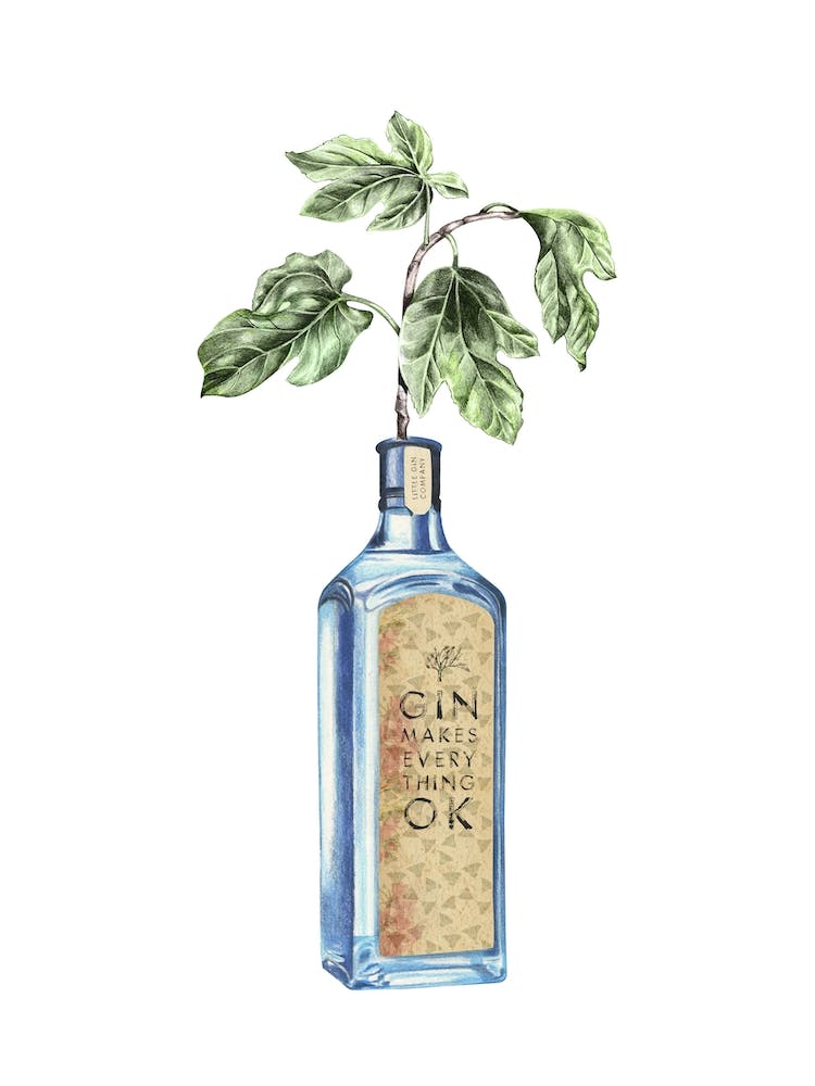 Gin Makes Everything Ok