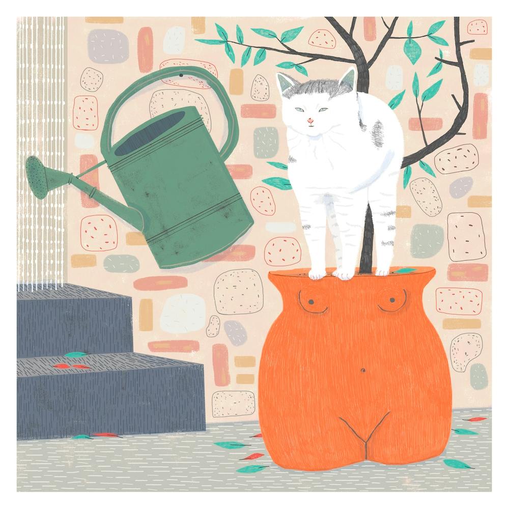 Cat In A Pot