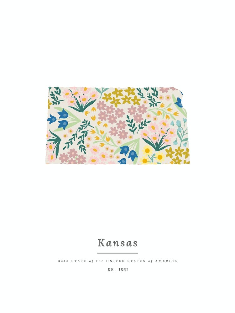 Kansas | Wildflower Mix