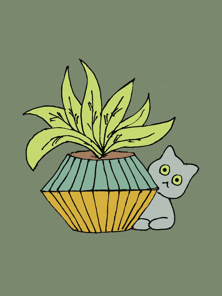 Grey Cat And A Planter Pot