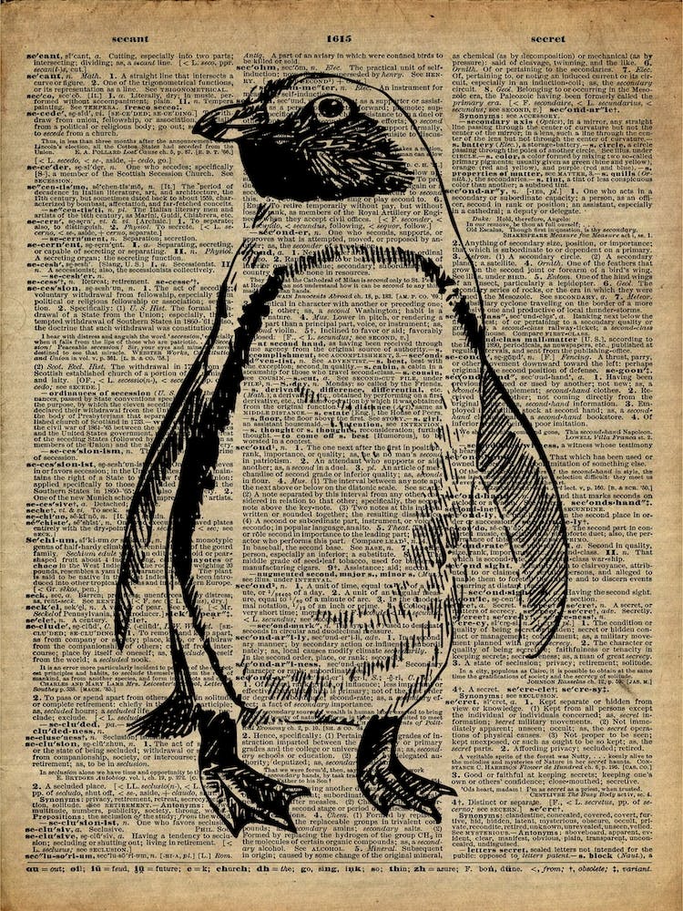 Penguin Bird