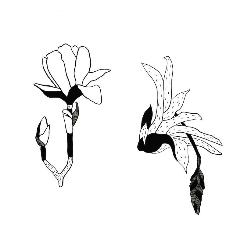 Tropical Flowers