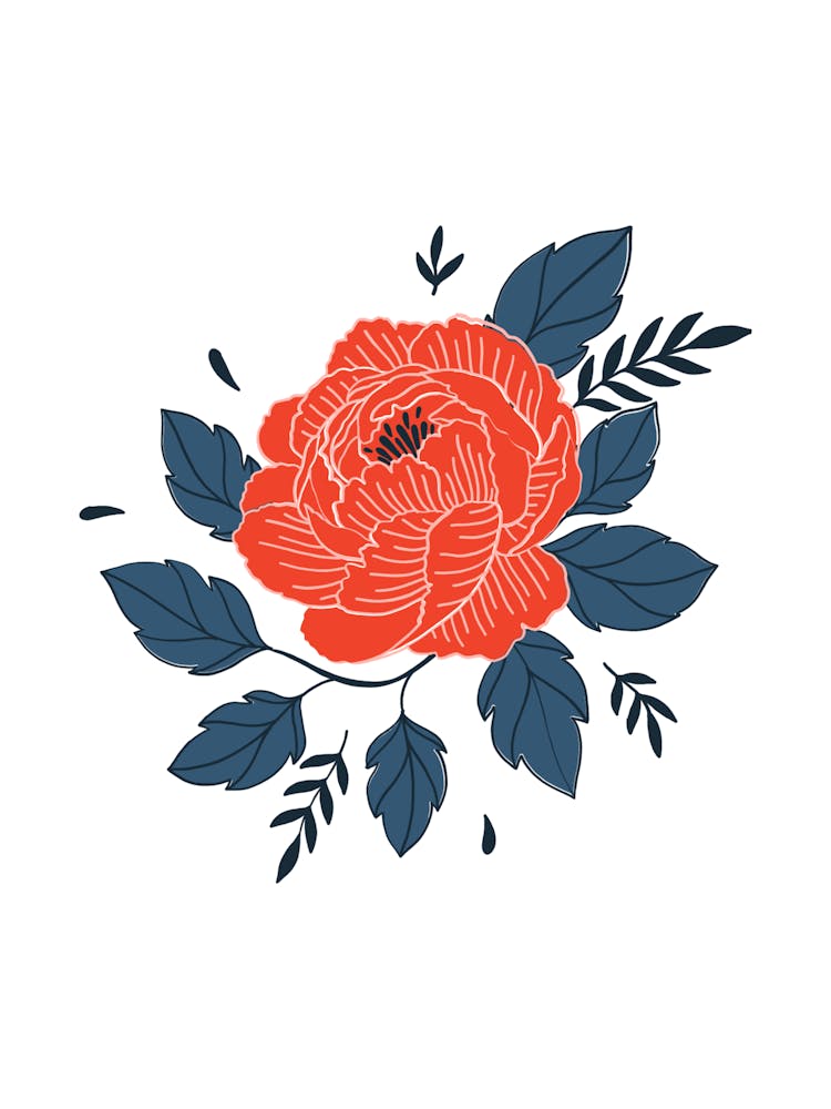 Red Rose 4