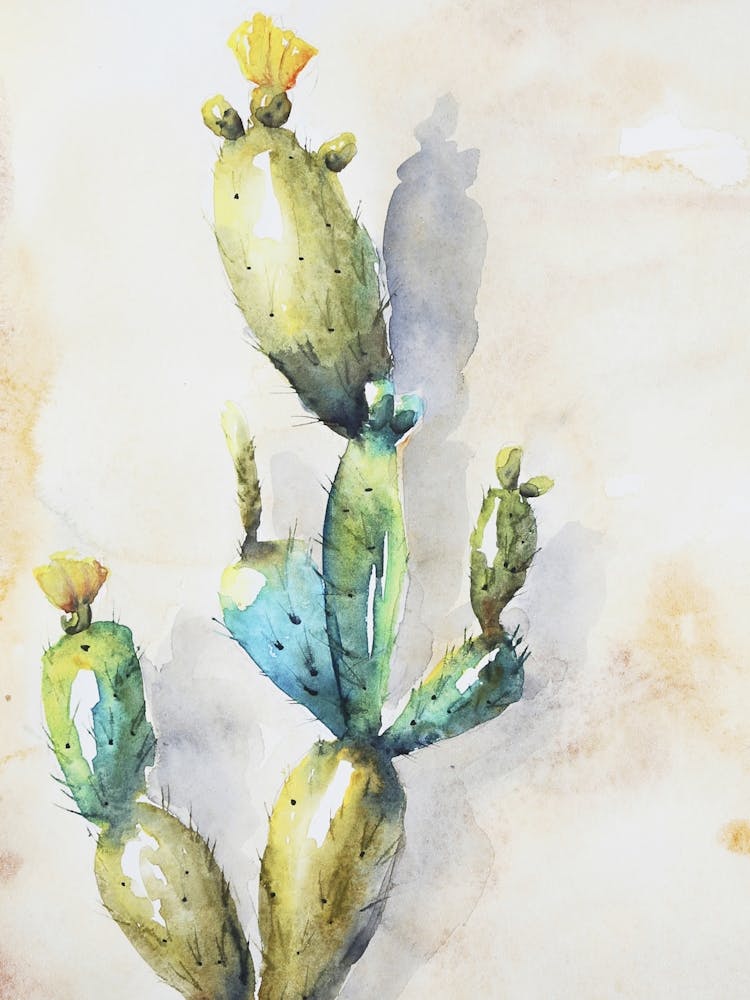 Cactus