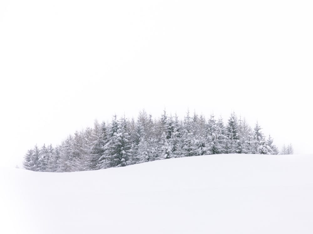 Minimalistic Snowy Landscape 