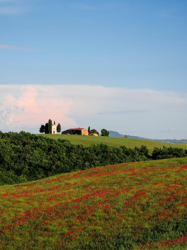 Italy Tuscany Villa 2