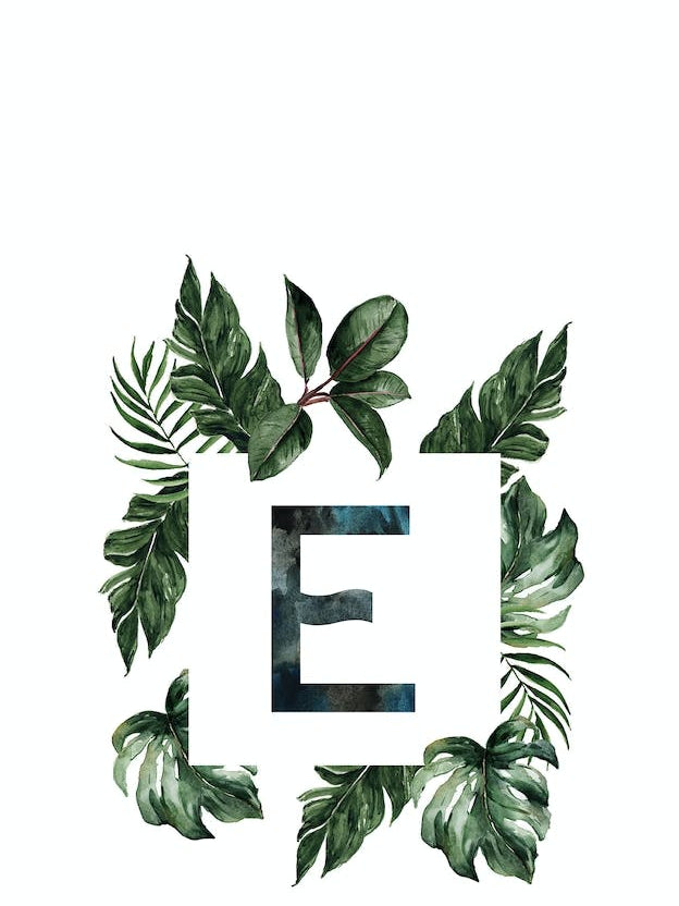 Botanical Alphabet E