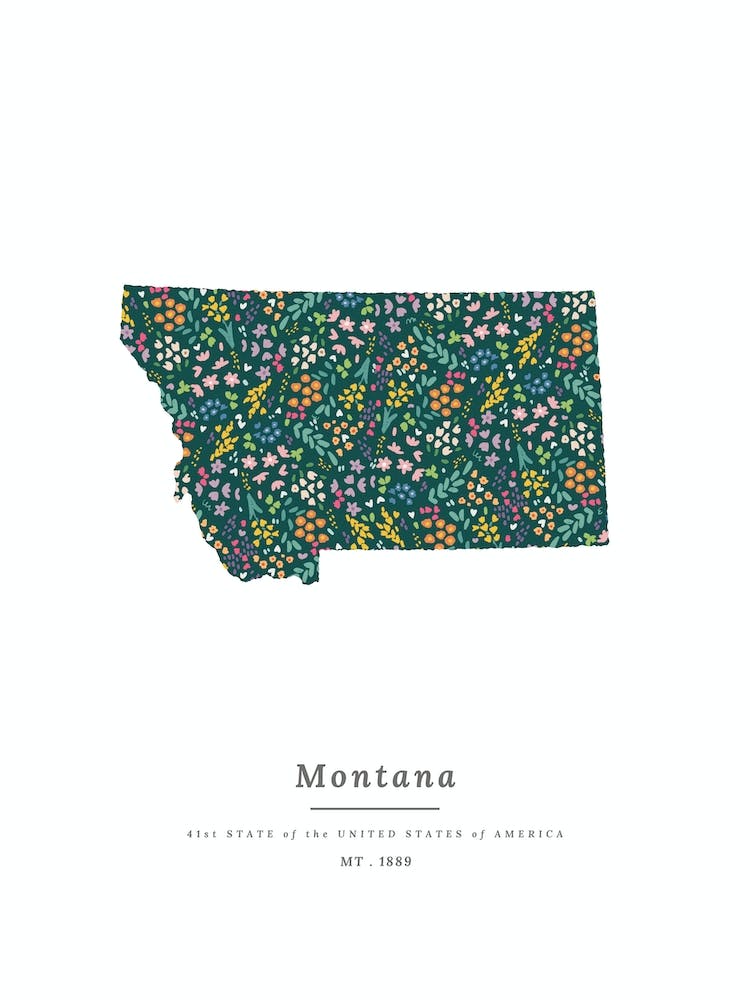 Montana State | Wildflowers on Juniper Green
