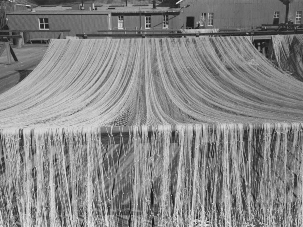 Nets Drying In The Sun, Astoria, Oregon By Russell Lee