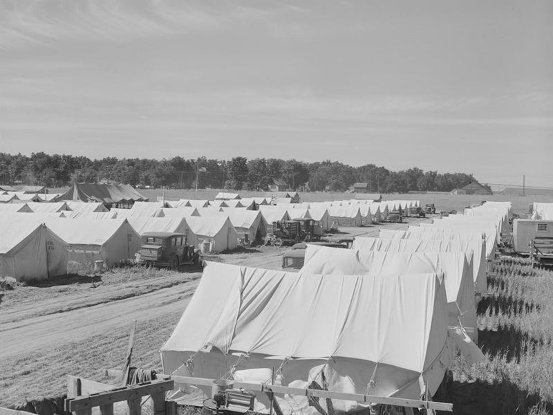 Tents At The Fsa (Farm Security Administration) Migratory Farm Labor Camp Mobile Unit, Athena, Oregon By
