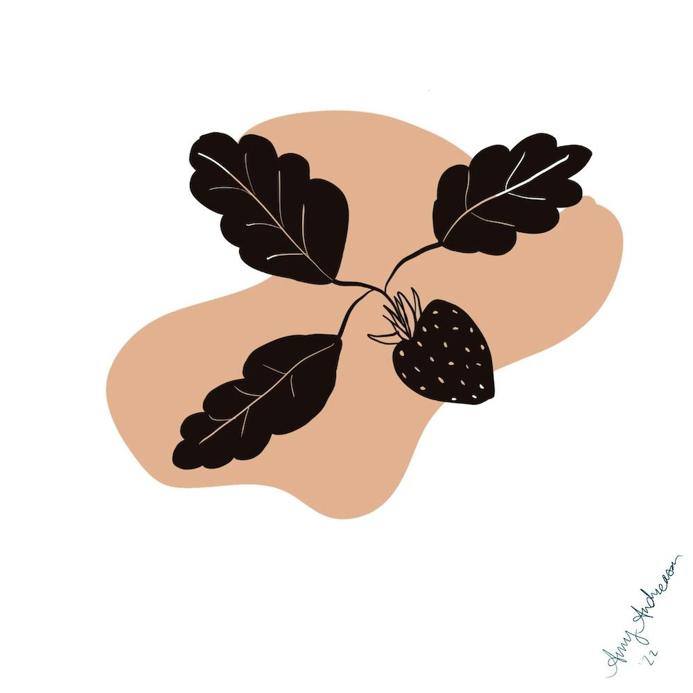 Strawberry And Leaves