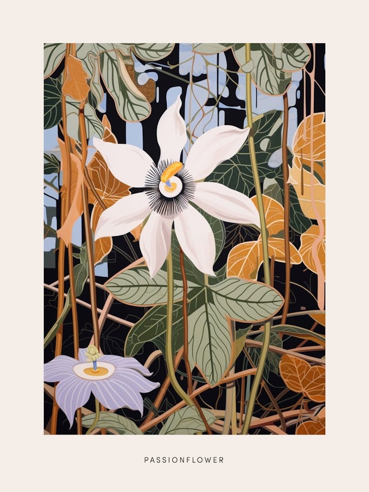 Flower Illustration Passionflower 1 Poster