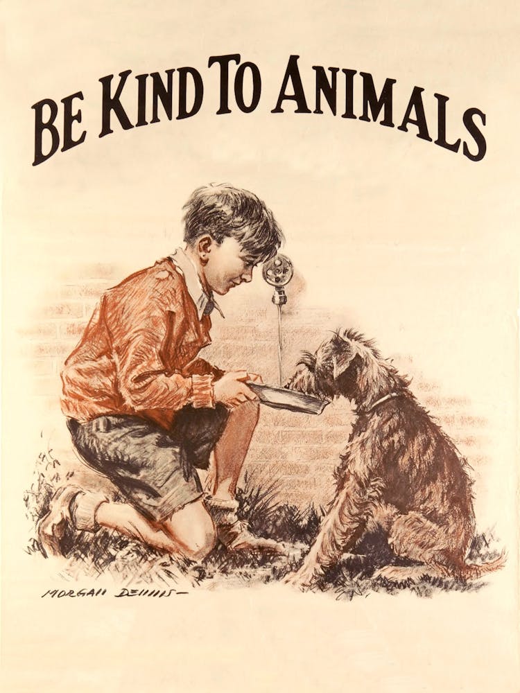 Boy With A Dog, Be Kind To Animals, Vintage Poster
