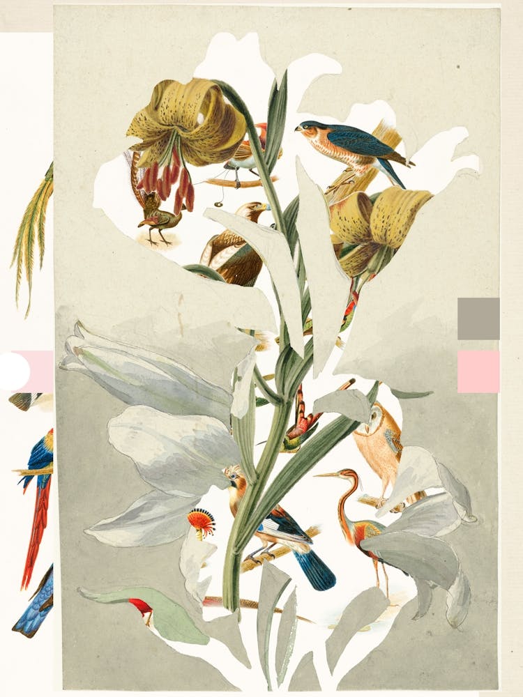 The First Plant · M3 Birds