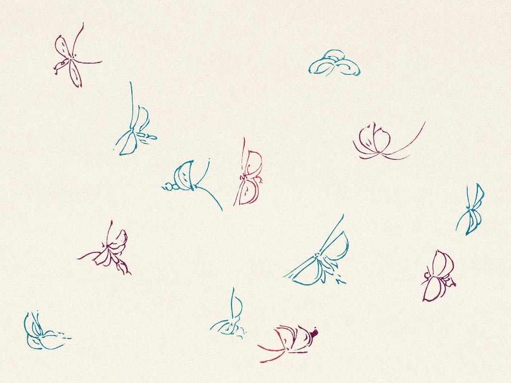 Butterfly Print, Cho Senshu 1