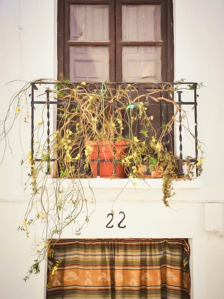 Number 22 Details From Spain