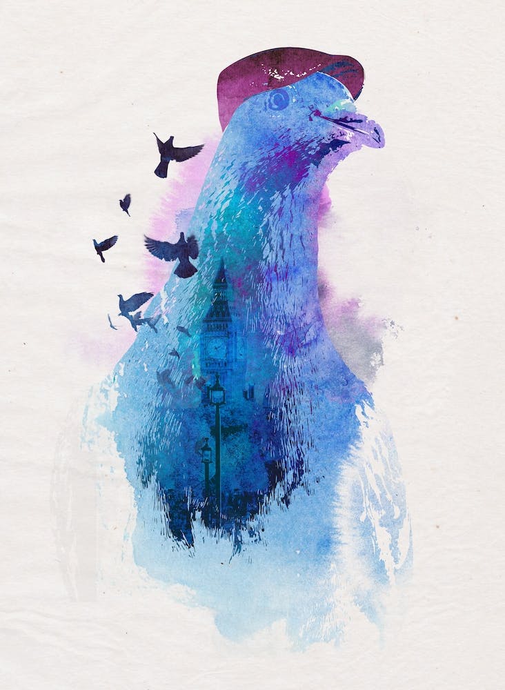 Pigeon London