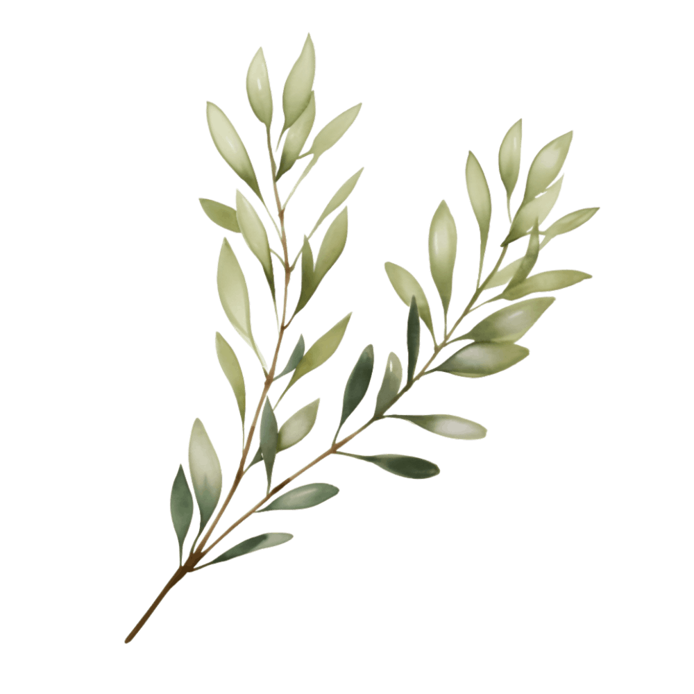 Eucalyptus 4