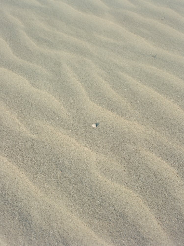 Sullivan's Island VI on Film