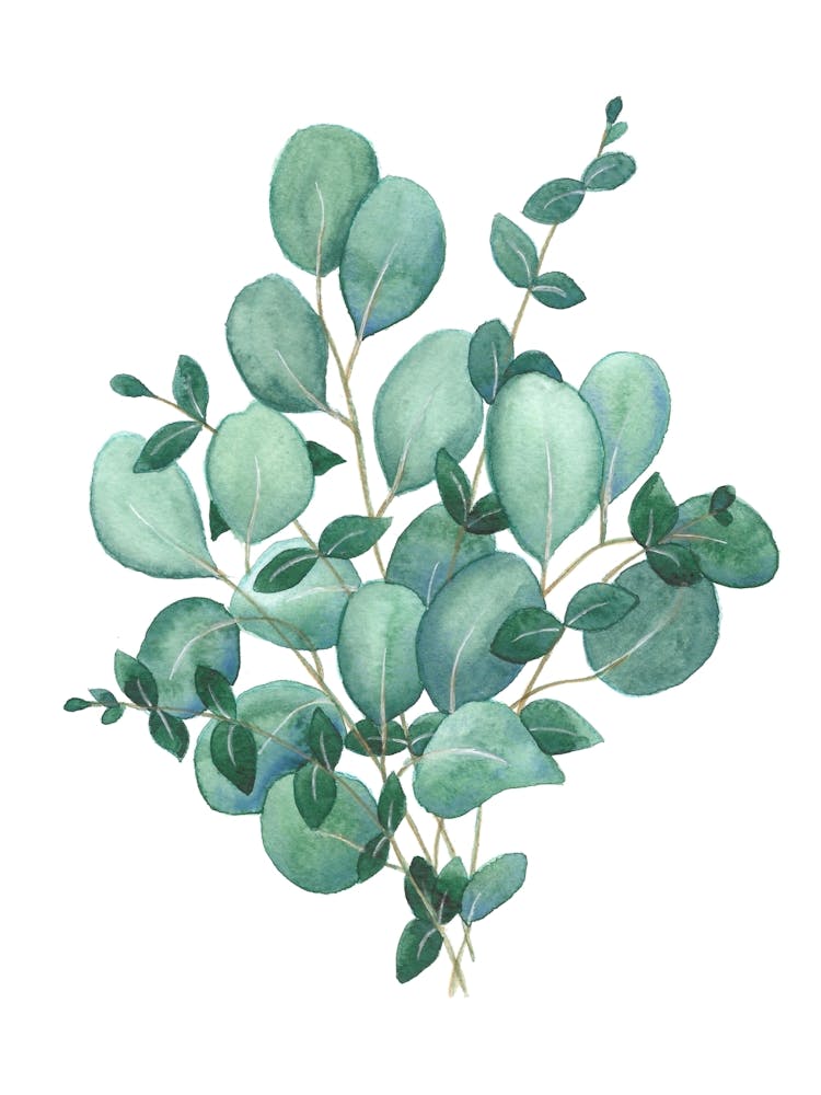 Watercolour Foliage Study 2