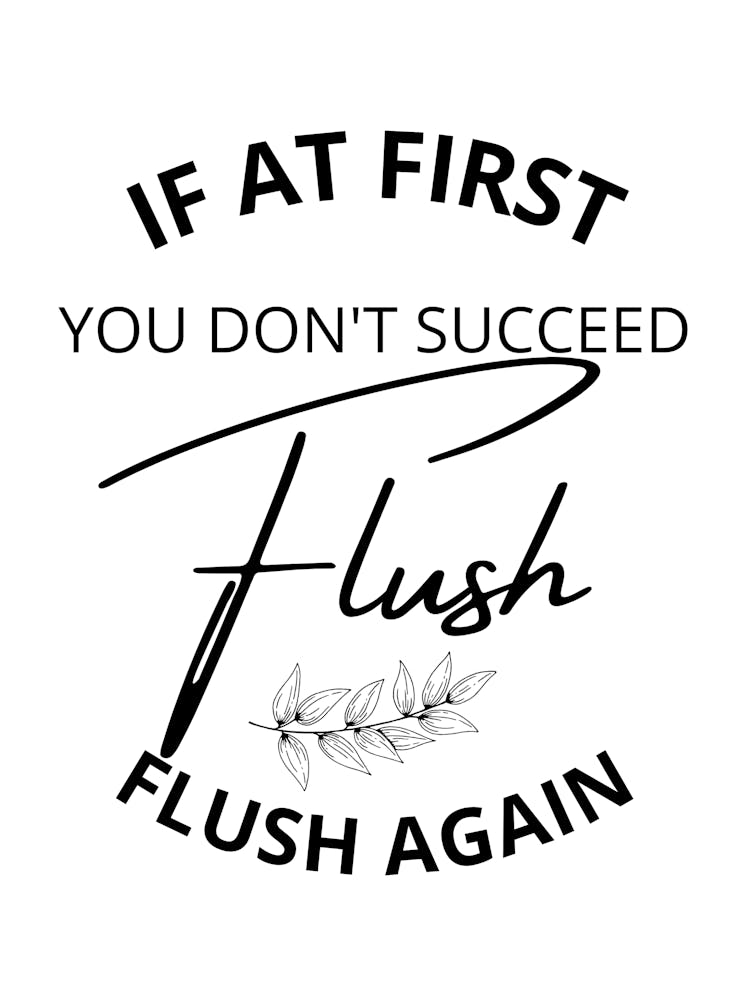If At First You Don'T Succeed Flush Flush Again