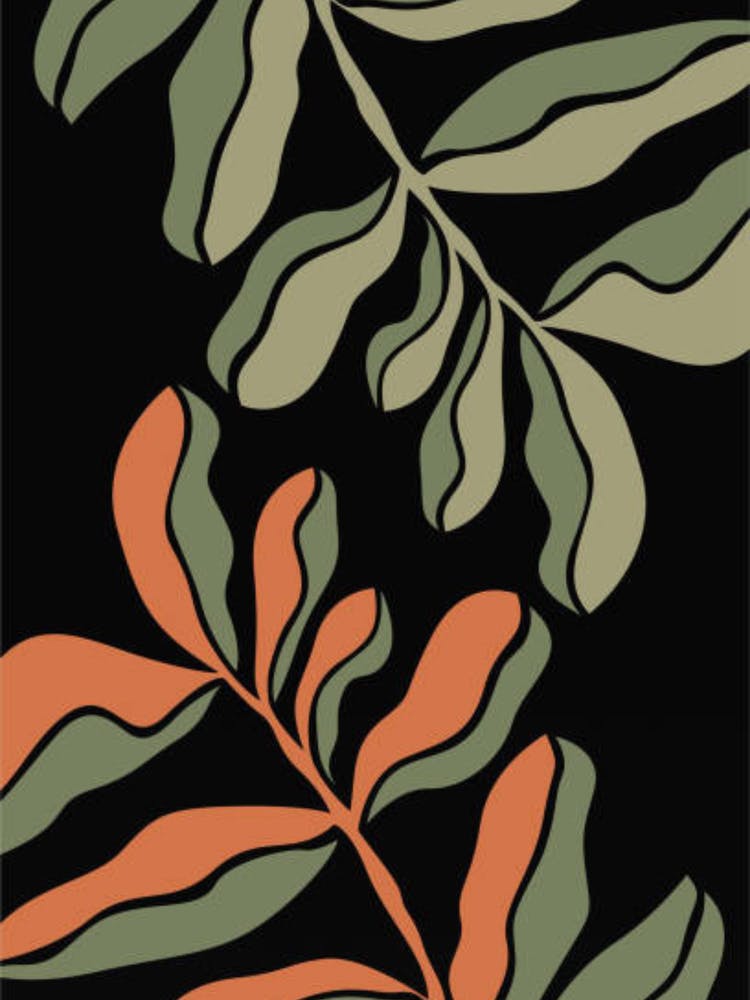 Leaves On Black