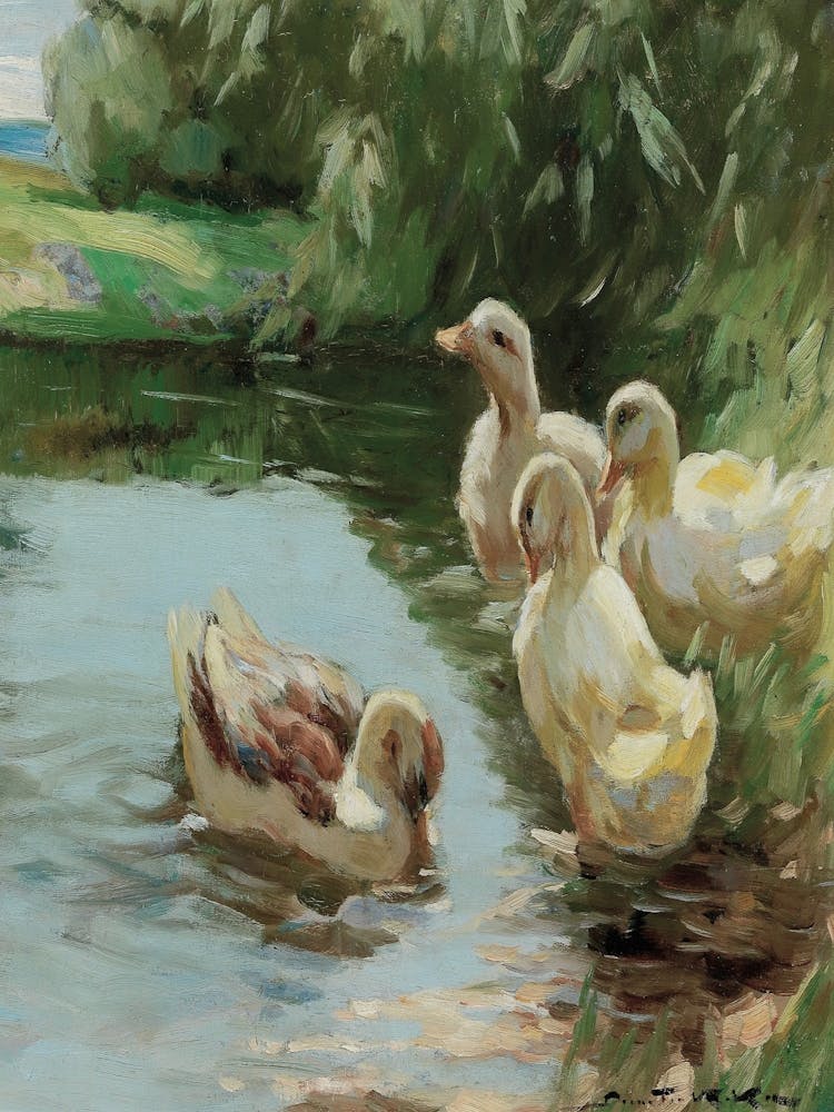 Ducks By The Pond