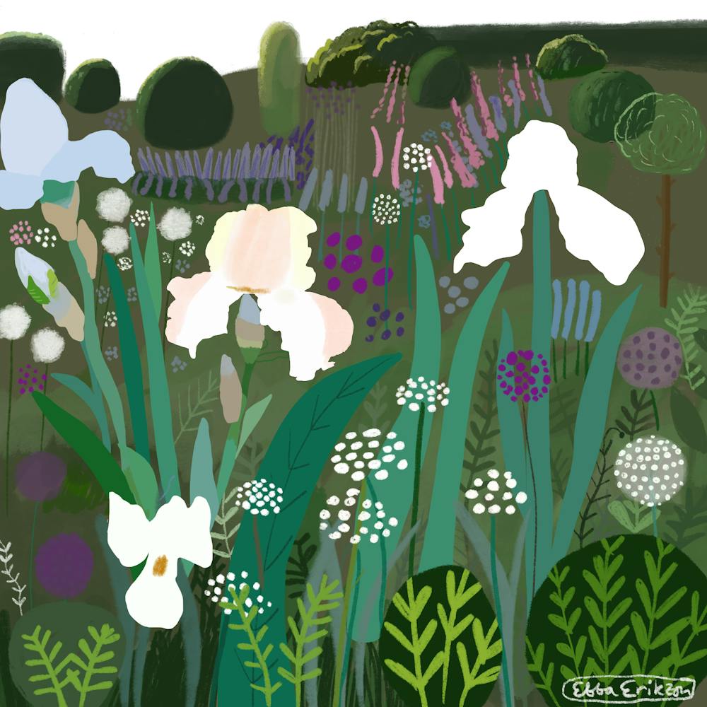 English cottage garden