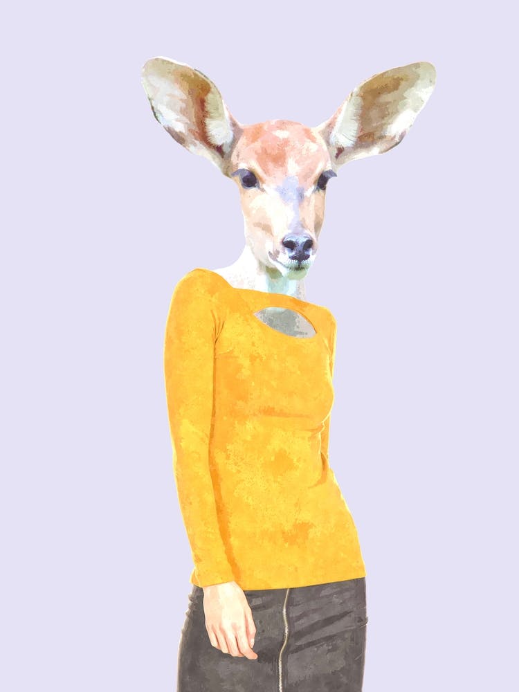 Stylish Antelope